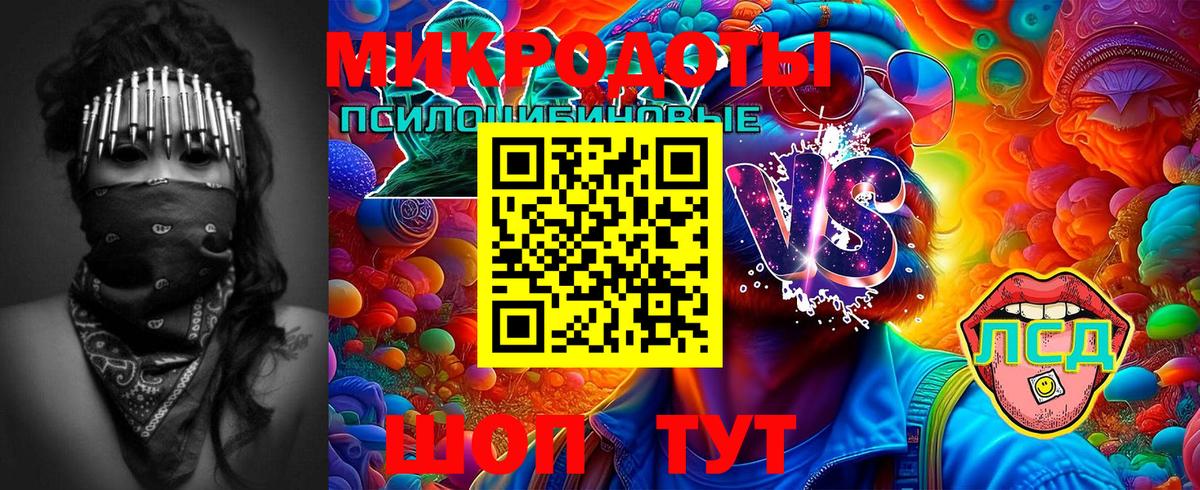 Псилоцибиновые грибы GOLDEN TEACHER  Псилоцибиновые грибы Psilocybe  Медногорск  Вход с VPN 